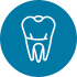 DENTAL BRIDGES